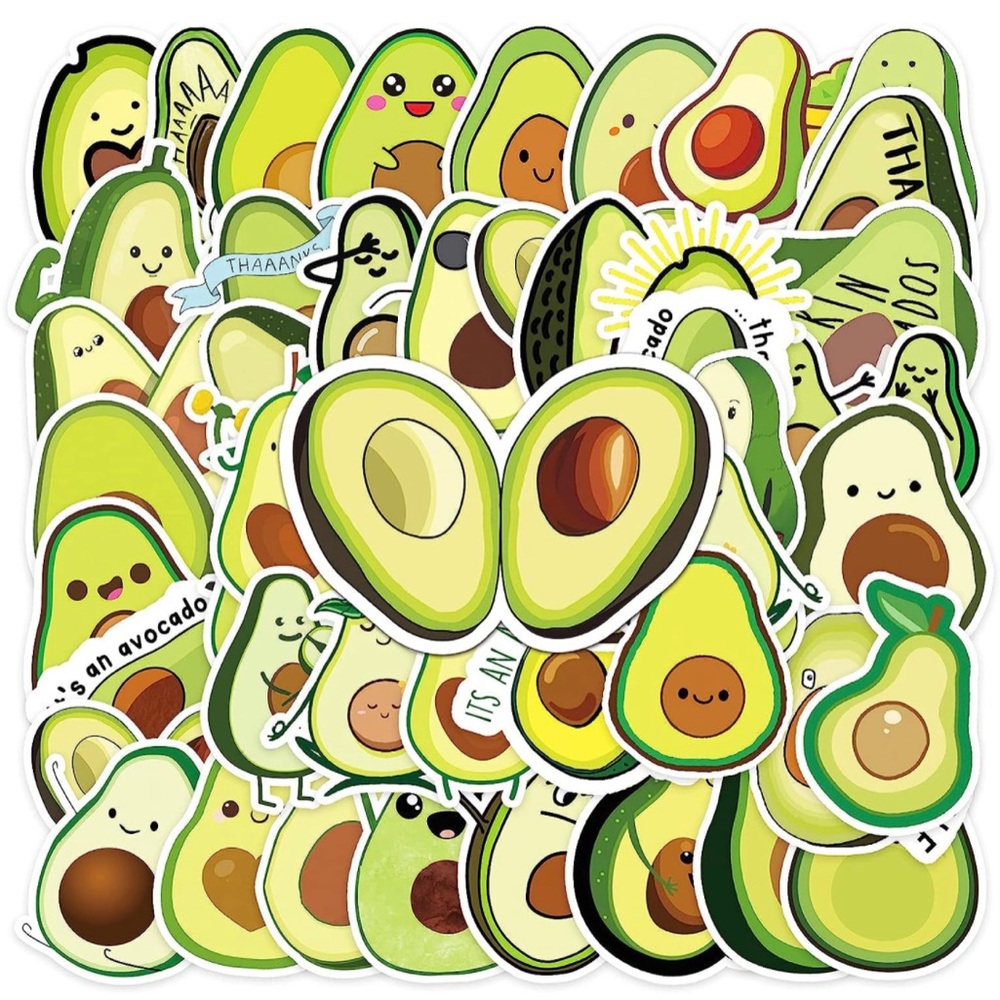 Variety of 48 Laptop/Water Bottle Stickers- Instax,Avocados & Fuzzy Loon Designs